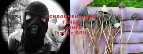 ешки Шарыпово
