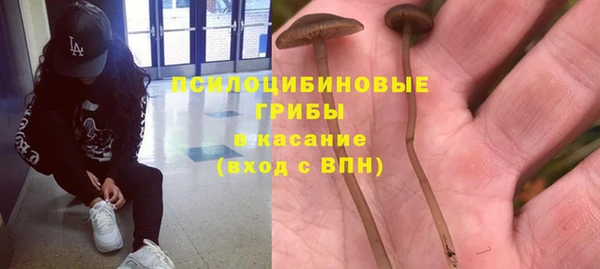 СК Каменка