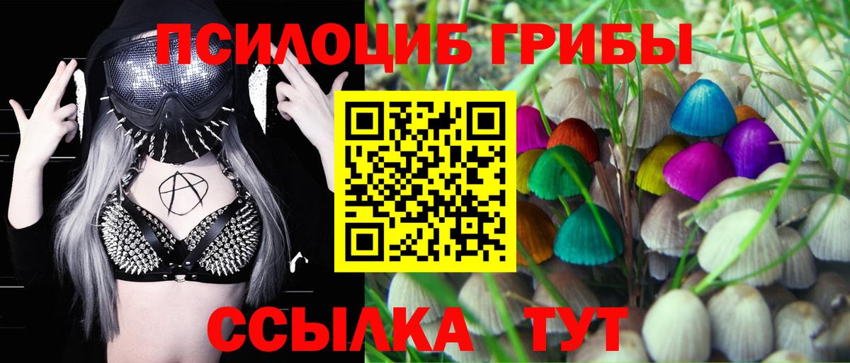 Батайск  Галлюциногенные грибы Psilocybine cubensis  Псилоцибиновые грибы прущие грибы  Вход с VPN 