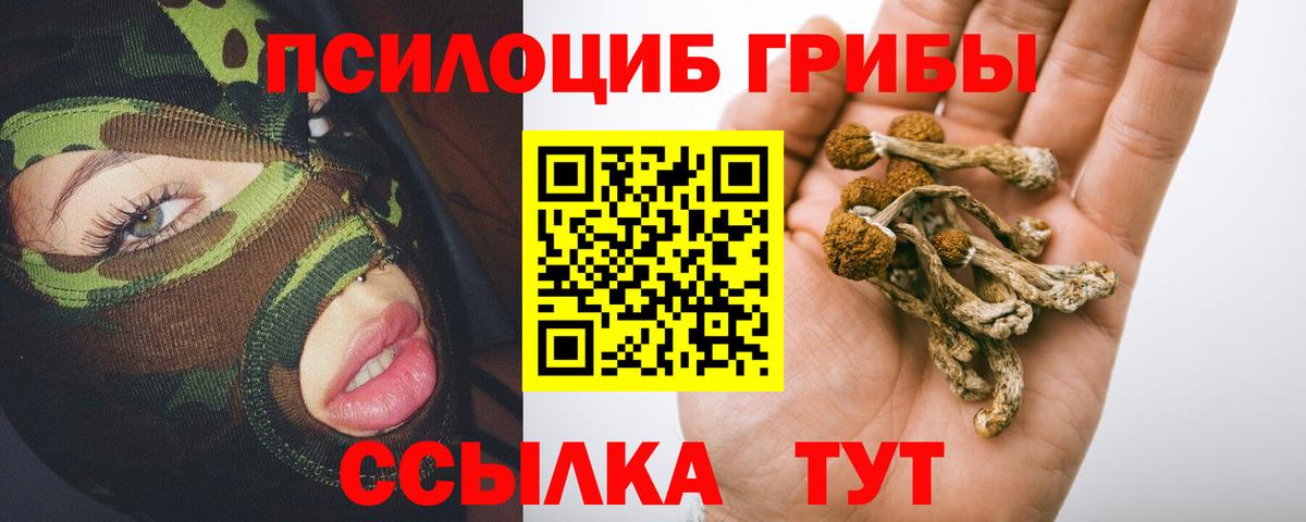 Псилоцибиновые грибы Psilocybe Батайск