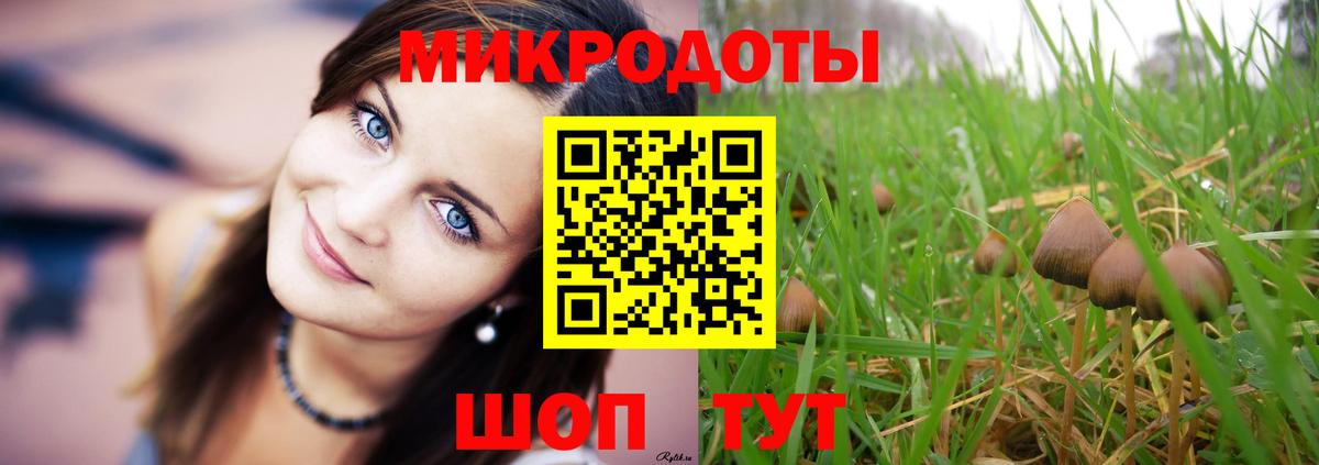 Псилоцибиновые грибы Psilocybine cubensis Батайск